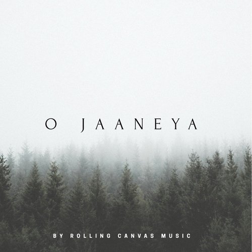 Rolling Canvas Music Songs MP3 Download